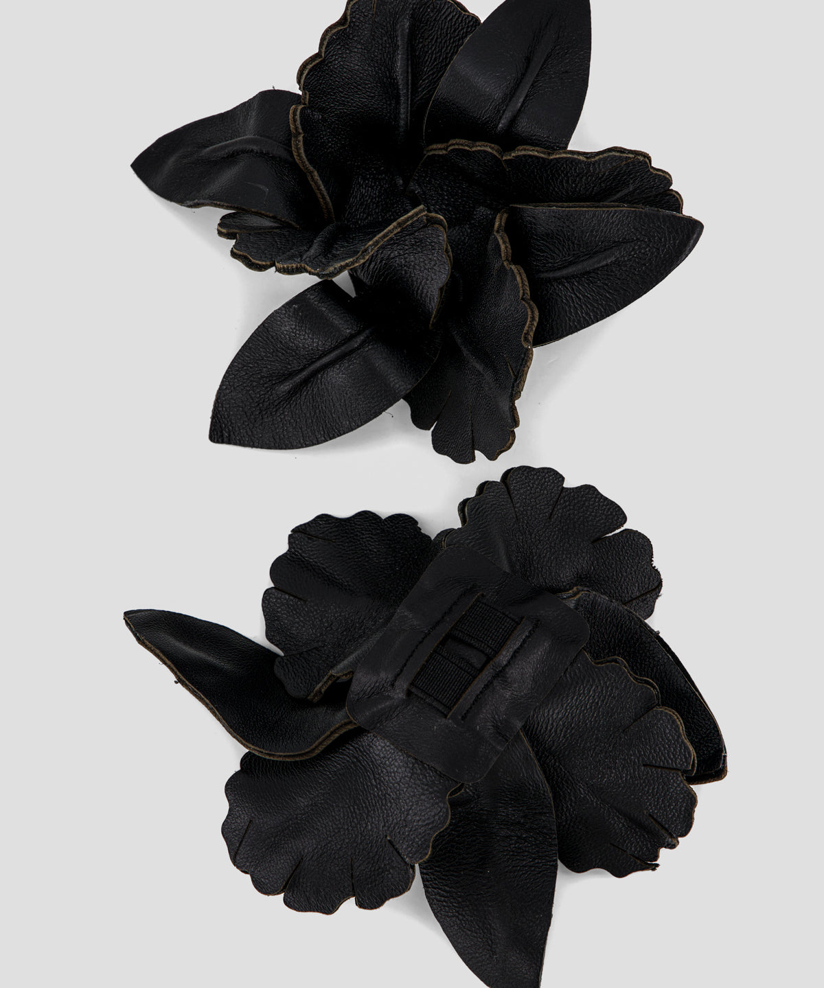 Iris-Top___2.jpg