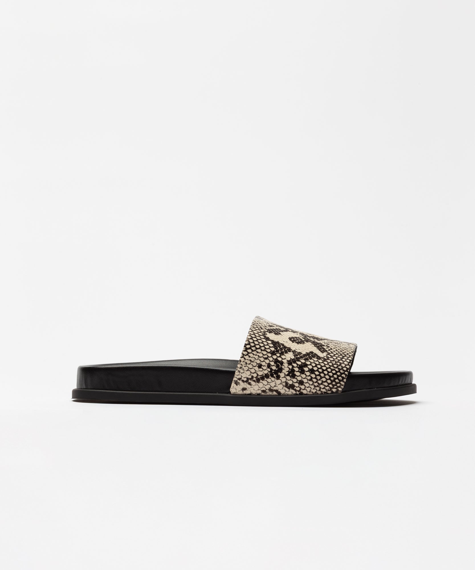 Shoes-9631.jpg